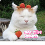 Starships Apparel