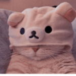The Rblx Cats