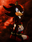 Shadows of the year
