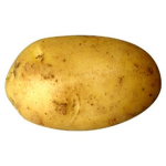 POTATO FOR LIFE ITS TIME FOR POTATOS