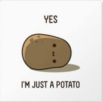 The potato friends <3