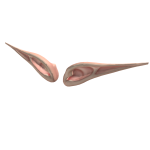 Roblox entity thumbnail