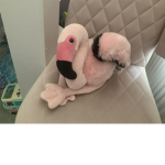Flamingo squad Alexa