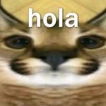Mi anatomía