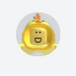 아기병아리 팬클럽