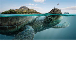 ~sea silky~