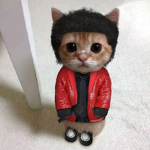 whydoyoustalkme