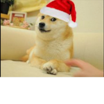 Doge fans United