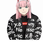 ANIMIE POWERS