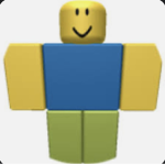 Random Ideas Inc.
