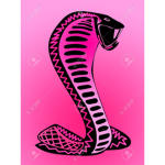 PinkPoison