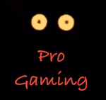 Pro-Gaming!
