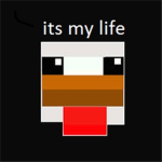 minecr@fters