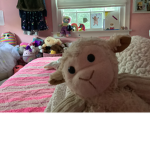 Lamie and ErBear kindness ambassadors