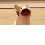 ポテトの畑