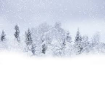 Snow Worms