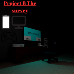 Project B The survey