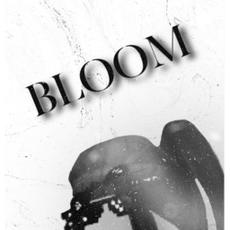 Bloom's Homestore