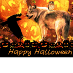The Moon Wolves Pack