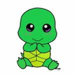 We like turtles