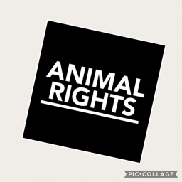 🐒