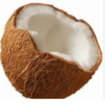 Coconuts123