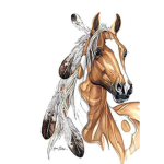 Indian Feathers