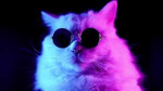 AC fan group. Miaow