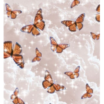 Butterfly’s are pretty