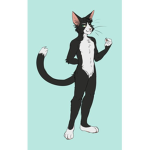 Furrys & cats