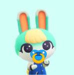 cocoa*