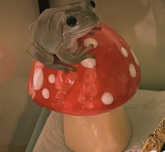 Mushroomfroggy fan group
