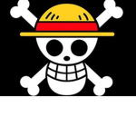 The StrawHat Pirates Group!