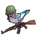 The Bird Seekers