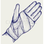 Bandage Squad