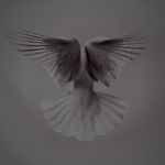 ~Take Flight~