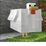 Peaceful Chicken