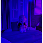 KiwiiLive