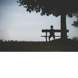 Lonely