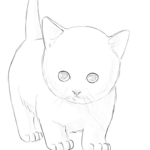 Cute Cat Fan Group # Road to ### subs!