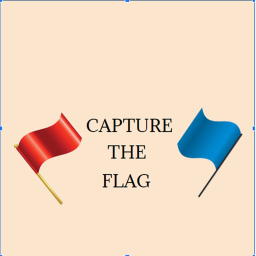 Capture The Flag