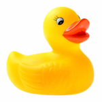 the vibe nation ducky cult