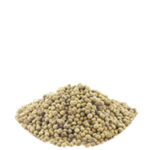 Coriander Seeds