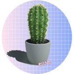 Aesthetic Please!
