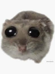 JOIN OR TURTLE DIE