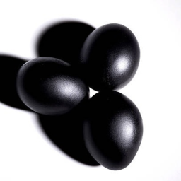Black eggs