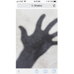 TEH Shadow Group
