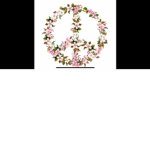 Pink Diamonds and pinondz
