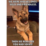 USS Wolf Pack