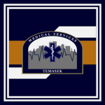 Temasek Medical Services